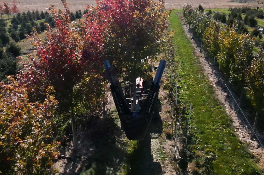 Baumalight DR444 tree spade photo 4