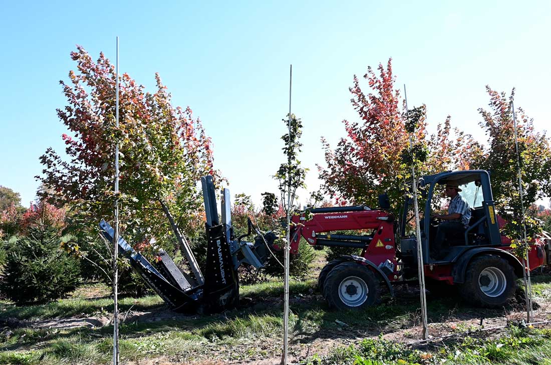 Baumalight DR444 tree spade photo 11