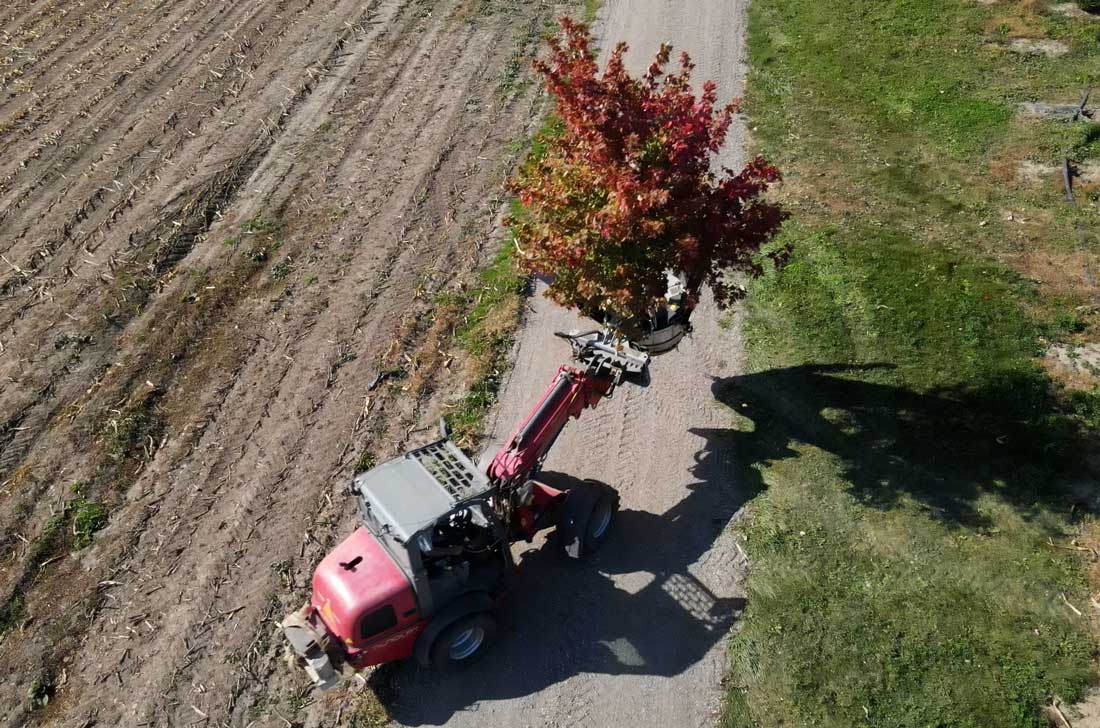 Baumalight DR444 tree spade photo 13