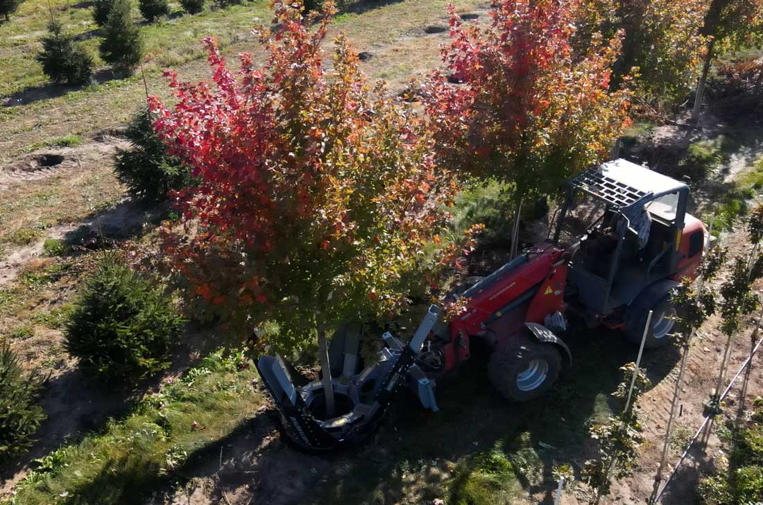 Baumalight DR444 tree spade photo 16