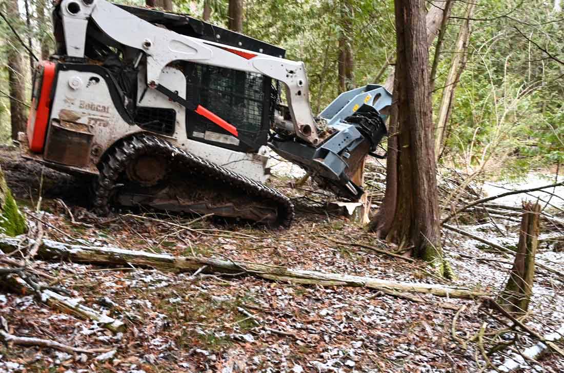 Baumalight ISH918G tree shear — baumalight tree shear taking down tree