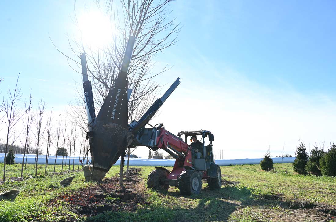 Baumalight DR448 tree spade photo 10