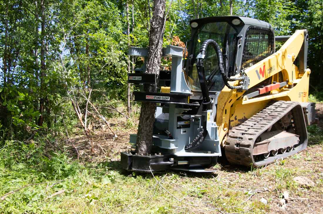 Baumalight tree shear for skid steers
