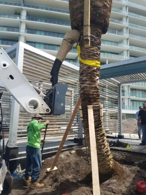 Virnig Tree Boom; manufacturer family image, configuration may differ