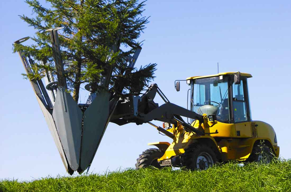 Baumalight ST650 tree spade photo 2