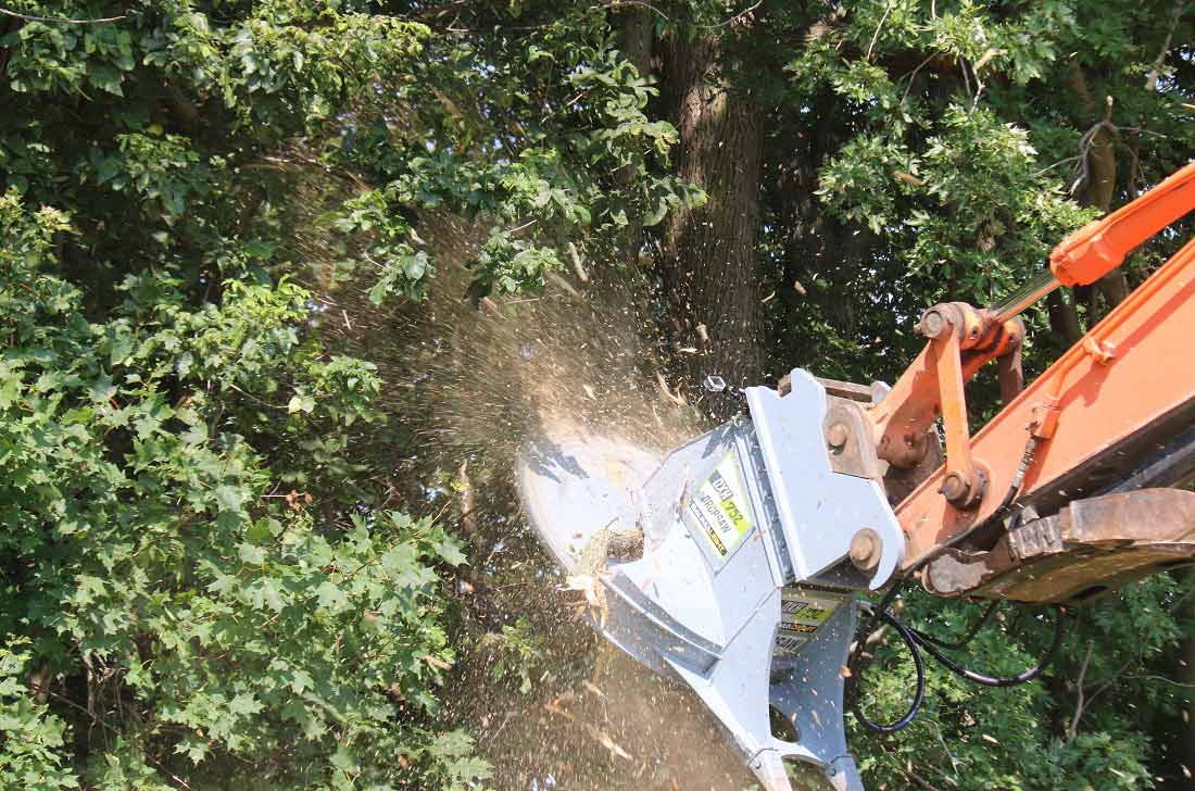 Baumalight DXH752 Tree Saw 3