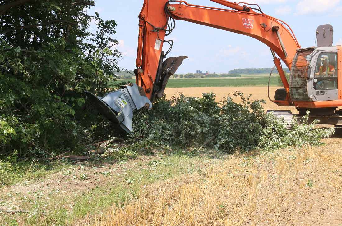 Baumalight DXH752 Tree Saw 12