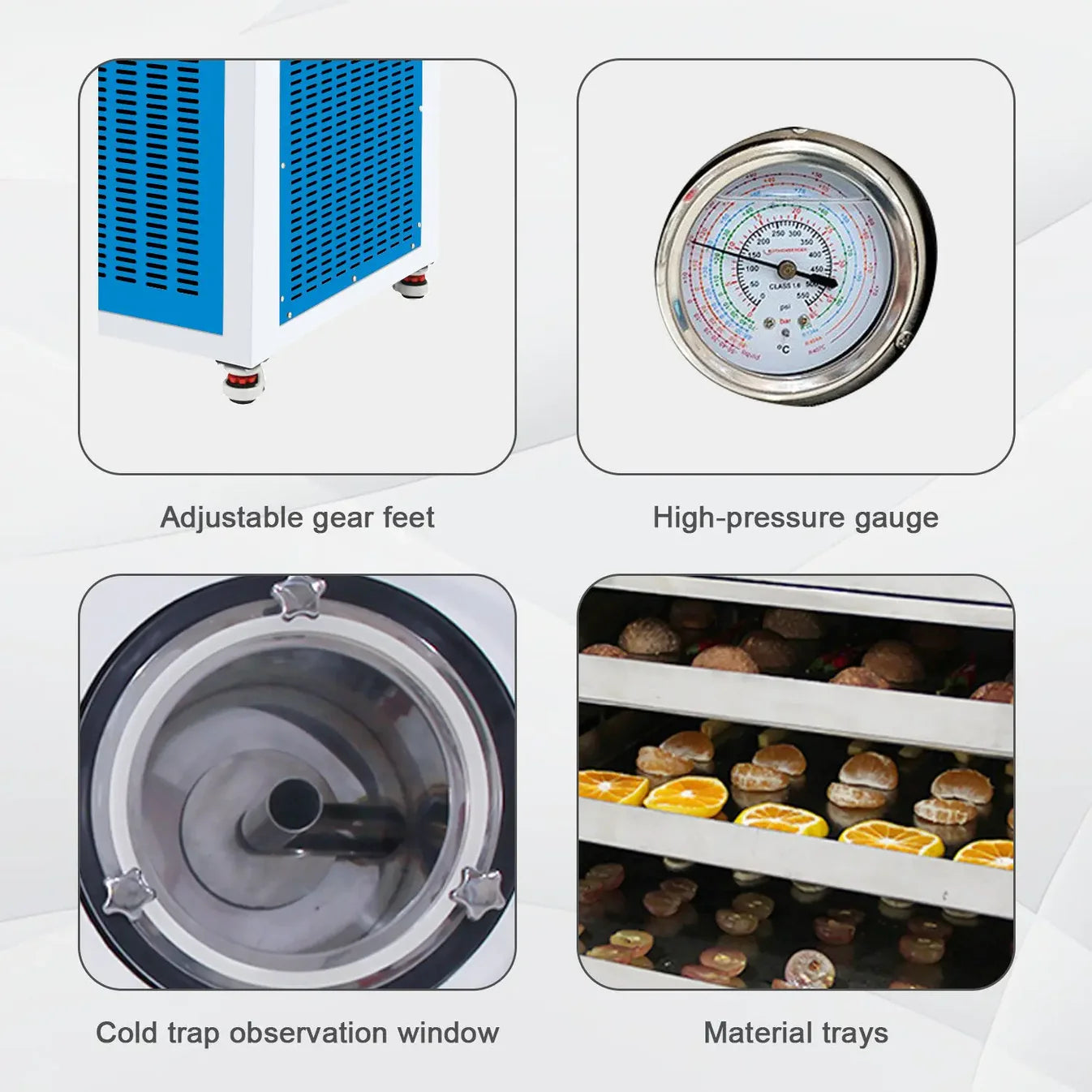 In-Situ Square Freeze Dryer | –80°C Cold Trap | 4–30kg/Batch | 0.2–2㎡ Drying Area | Silicone Oil Heating