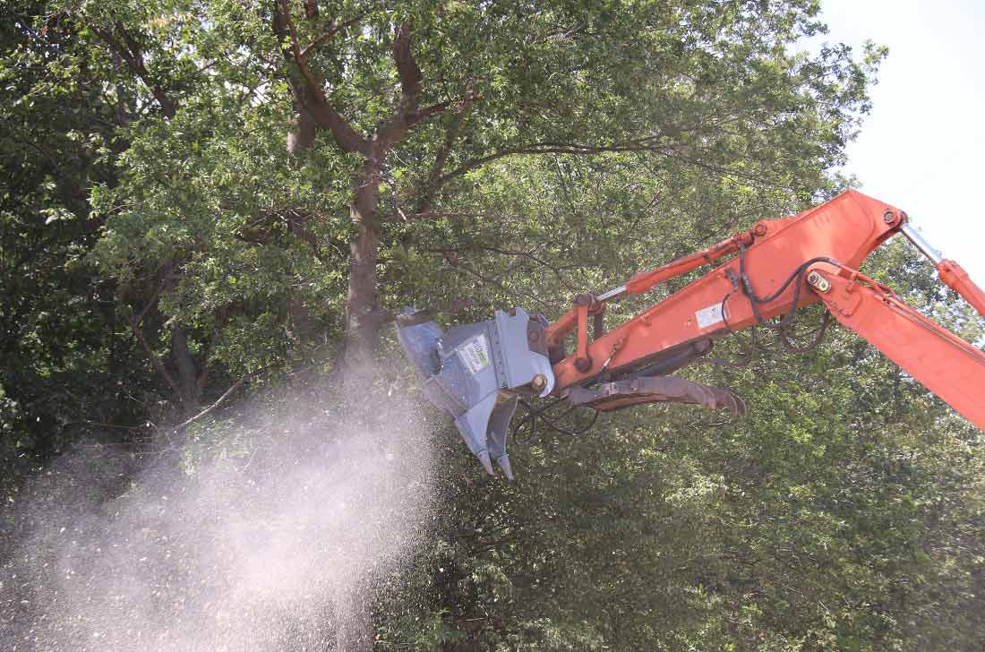 Baumalight DXH752 Tree Saw 9