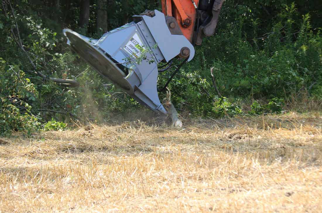 Baumalight DXH752 Tree Saw 11