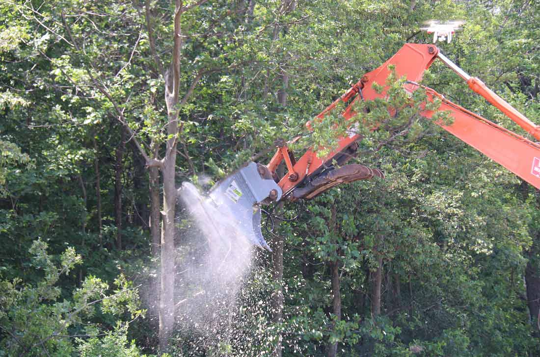 Baumalight DXH752 Tree Saw 10
