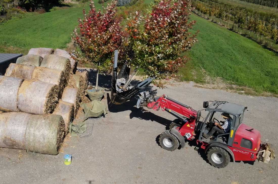 Baumalight DR444 tree spade photo 19