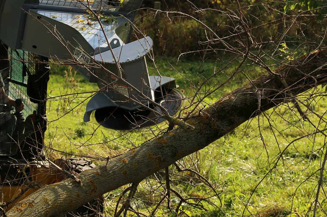 Baumalight DSA530 Tree Saw 11