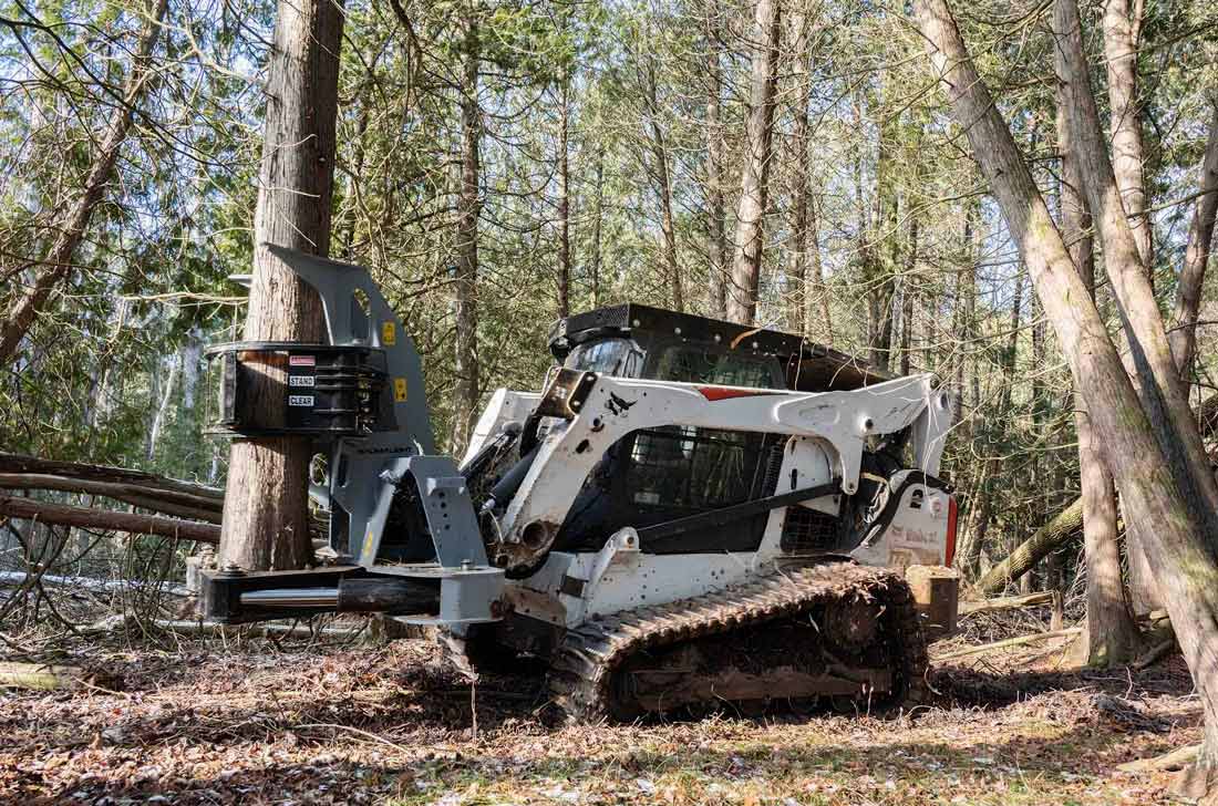 Baumalight ISH918G tree shear — baumalight ish918g tree shears in action