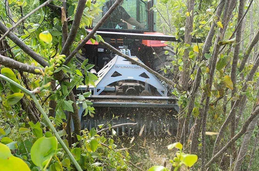 Baumalight MP560 Mulcher For PTO On Tractors