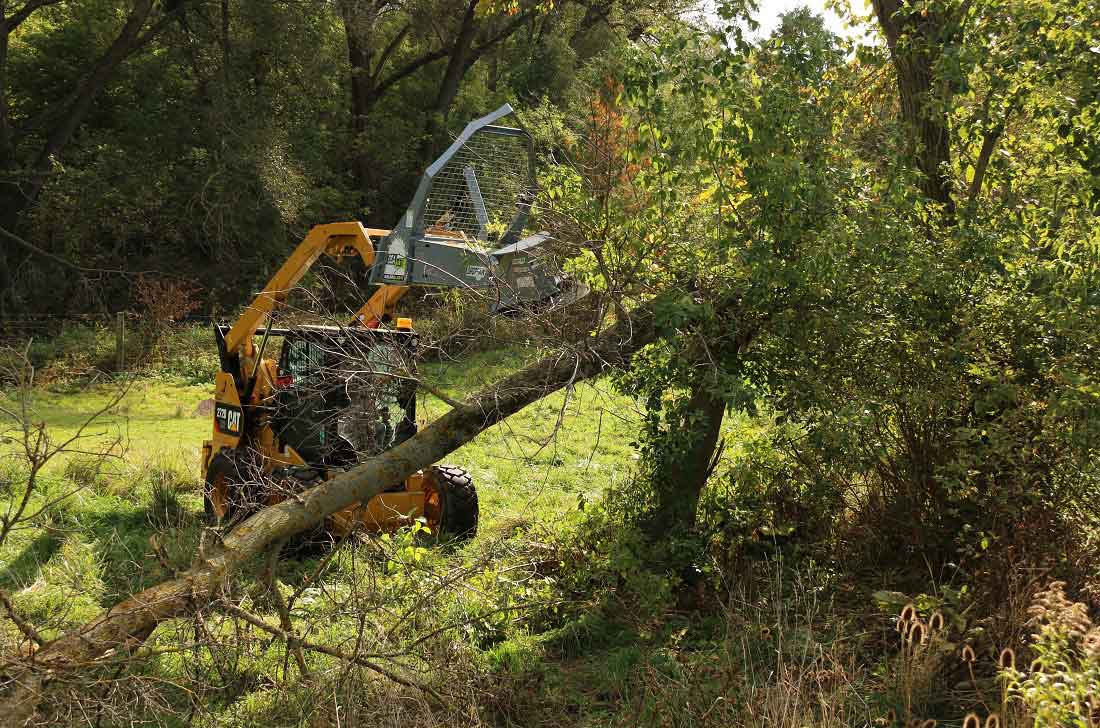 Baumalight DSA530 Tree Saw 14