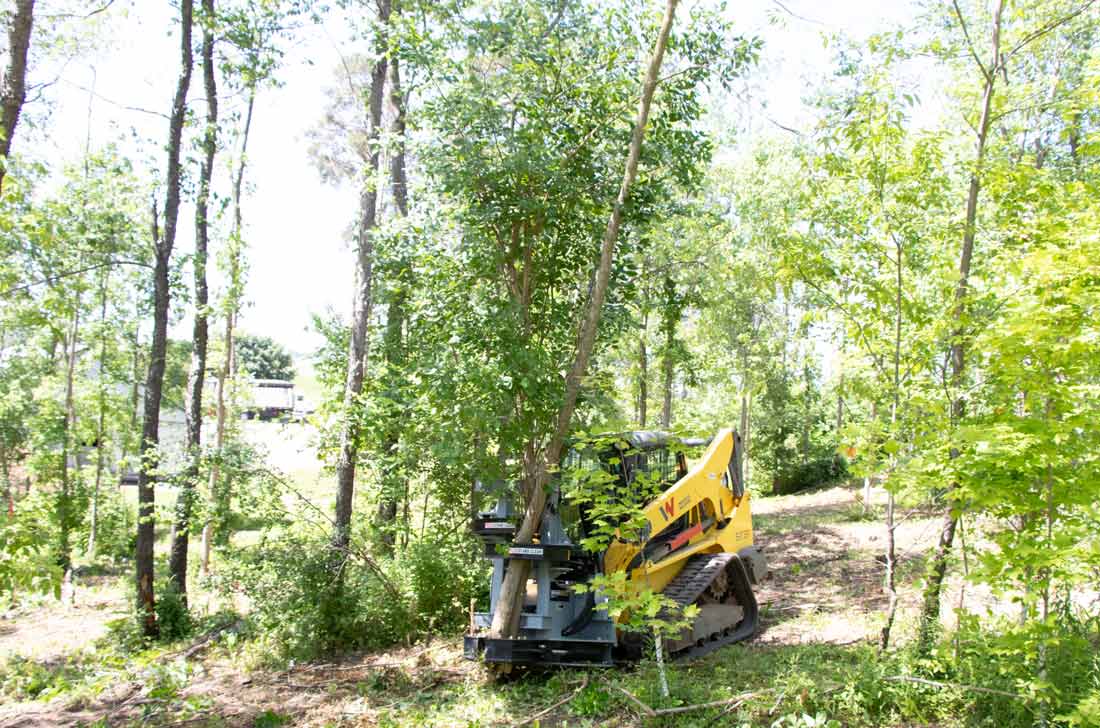 Baumalight ISH712G tree shear — ish712g for shearing vertical trees