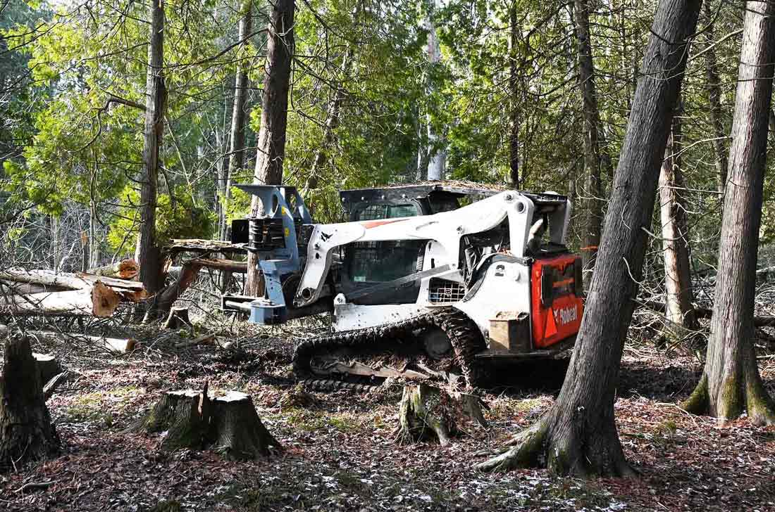 Baumalight ISH918G tree shear — ish918g tree shears on bobcat skidsteer