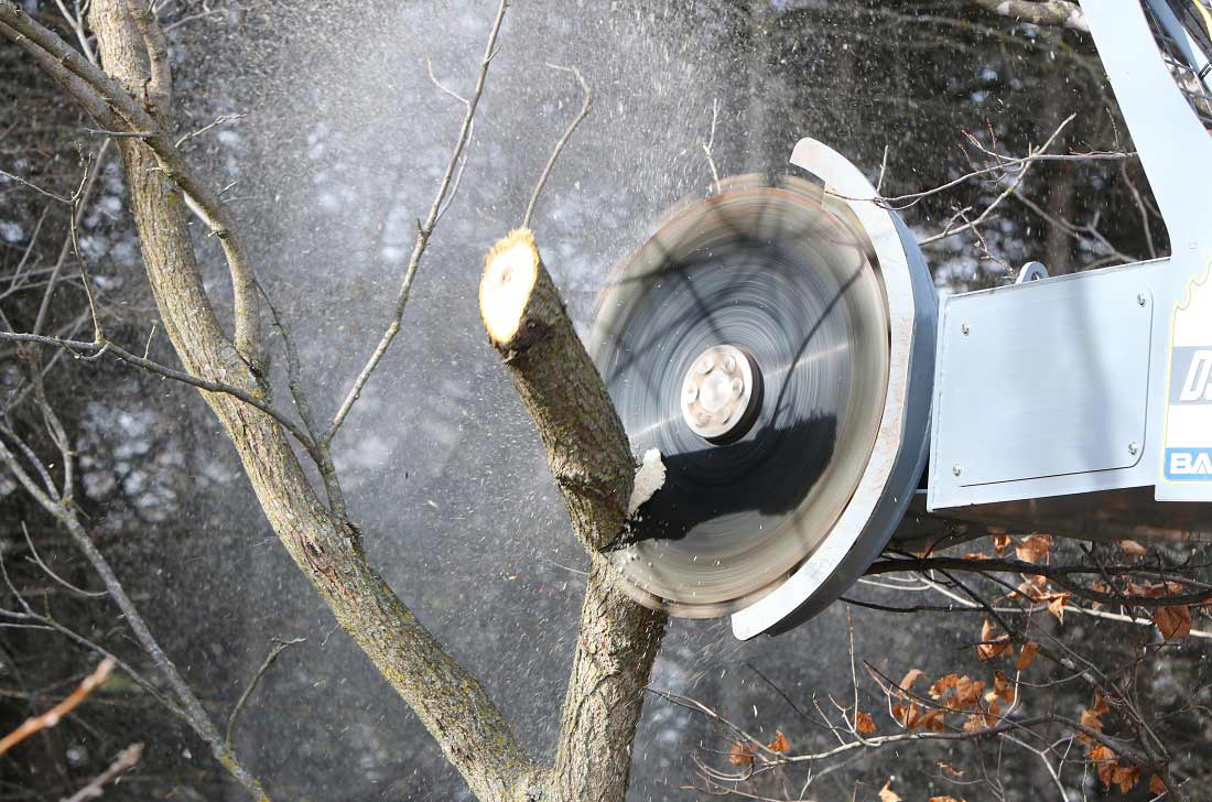 Baumalight DSA530 Tree Saw 12