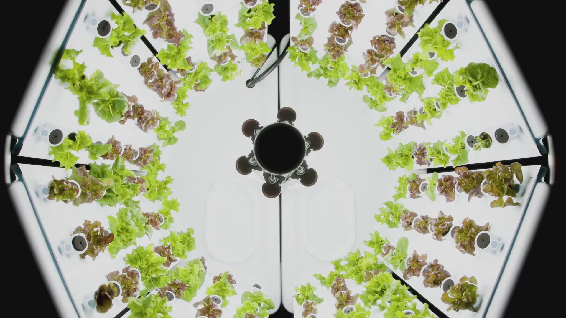 Flex Farm Indoor Vertical Hydroponic Growing System – 288 Plant Capacity