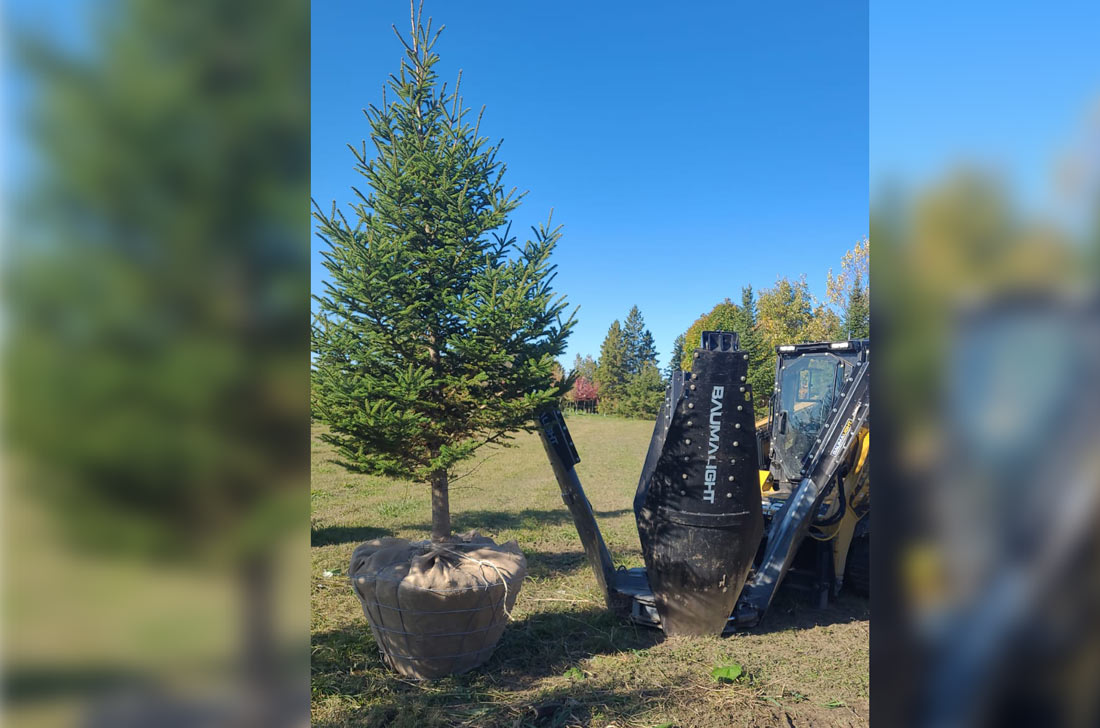 Baumalight DR438 tree spade photo 4